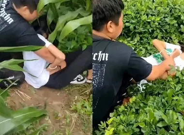 Lũ bạn học cuồng dâm nữ sinh